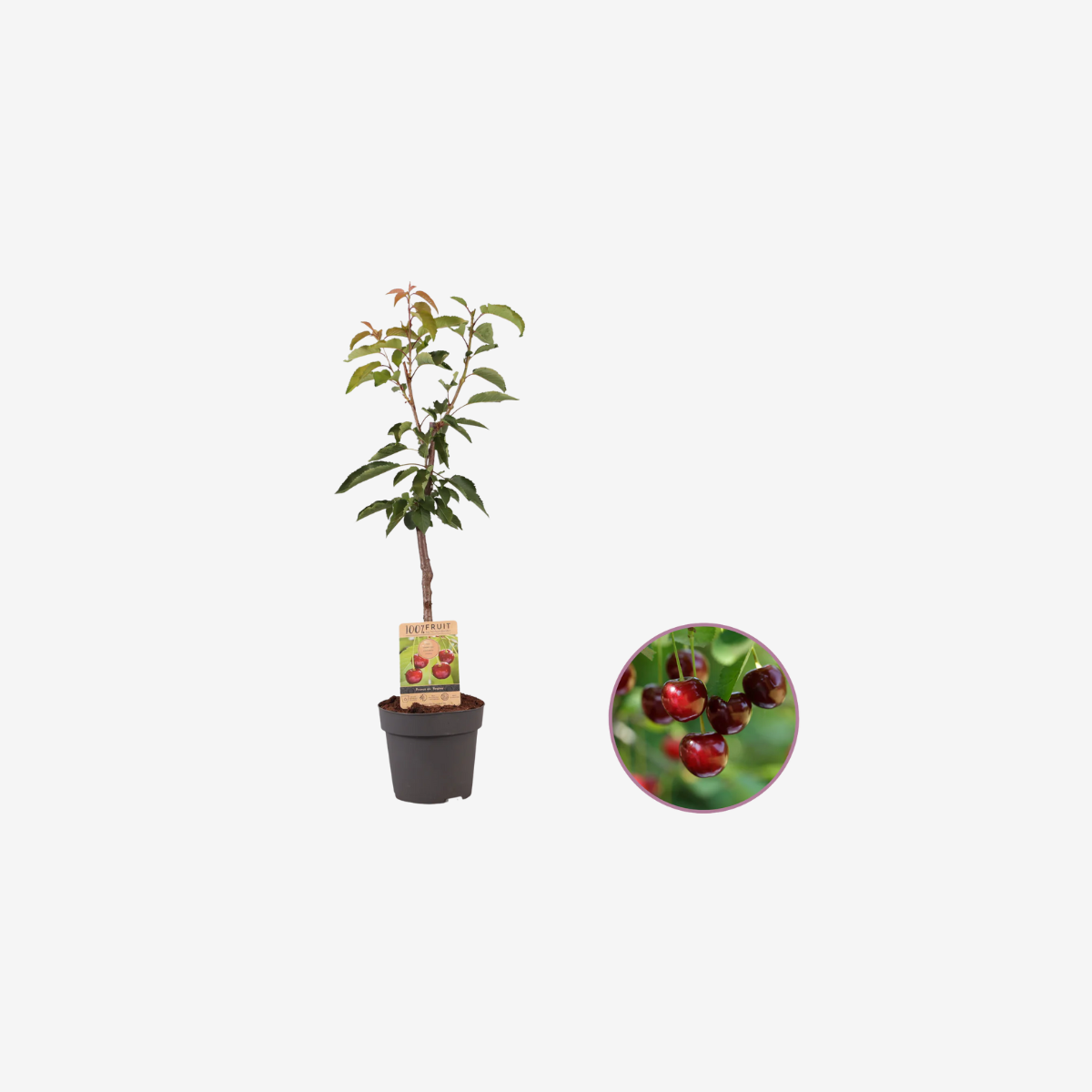 Product thumbnail